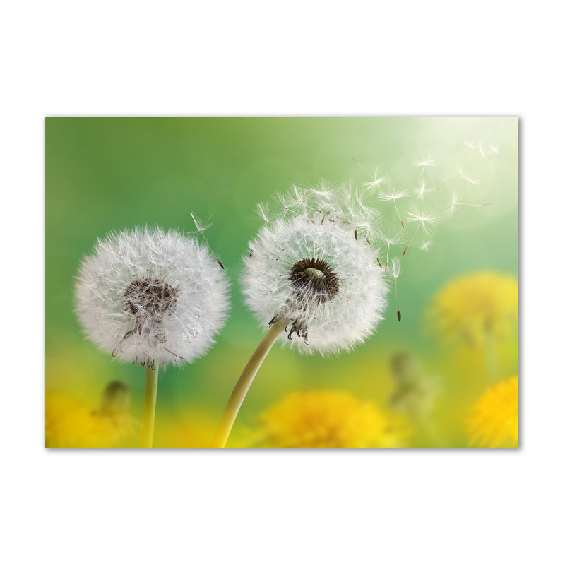 Dandelions - No Frame Print on Canvas