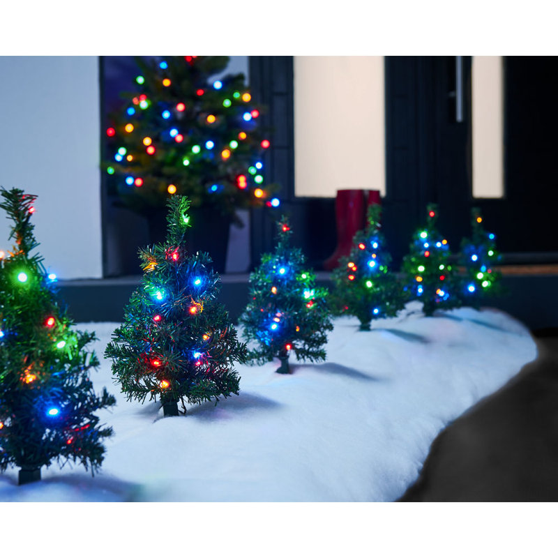 Indoor / Outdoor Luminary & Pathway Lights