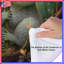 Joli édredon Koala-126737058
