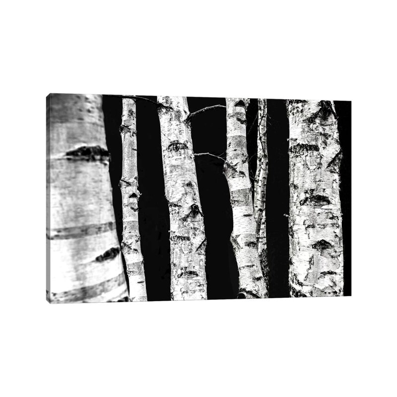 Birch Trees II by Mareike Böhmer - 1 Piece Wrapped Canvas Wall Art, 20.32 cm H x 30.48 cm W