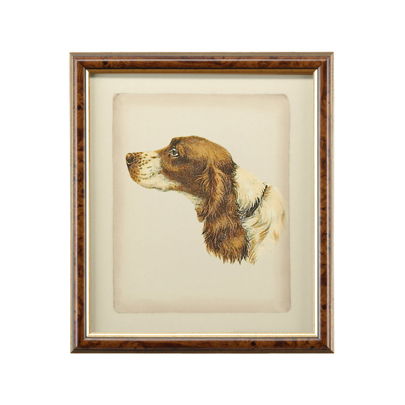 Danchin Cocker Spaniel Print