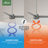 52" Cassius 3 - Blade Outdoor Standard Ceiling Fan with Pull Chain-23681206