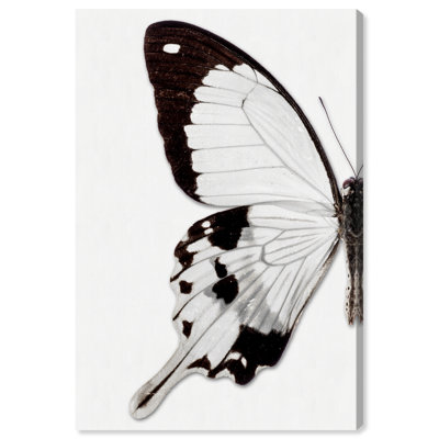 Papillon monochrome I - photographie sur toile