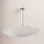 Signature Hardware 12" Round Rain Fixed Shower Head-50914593