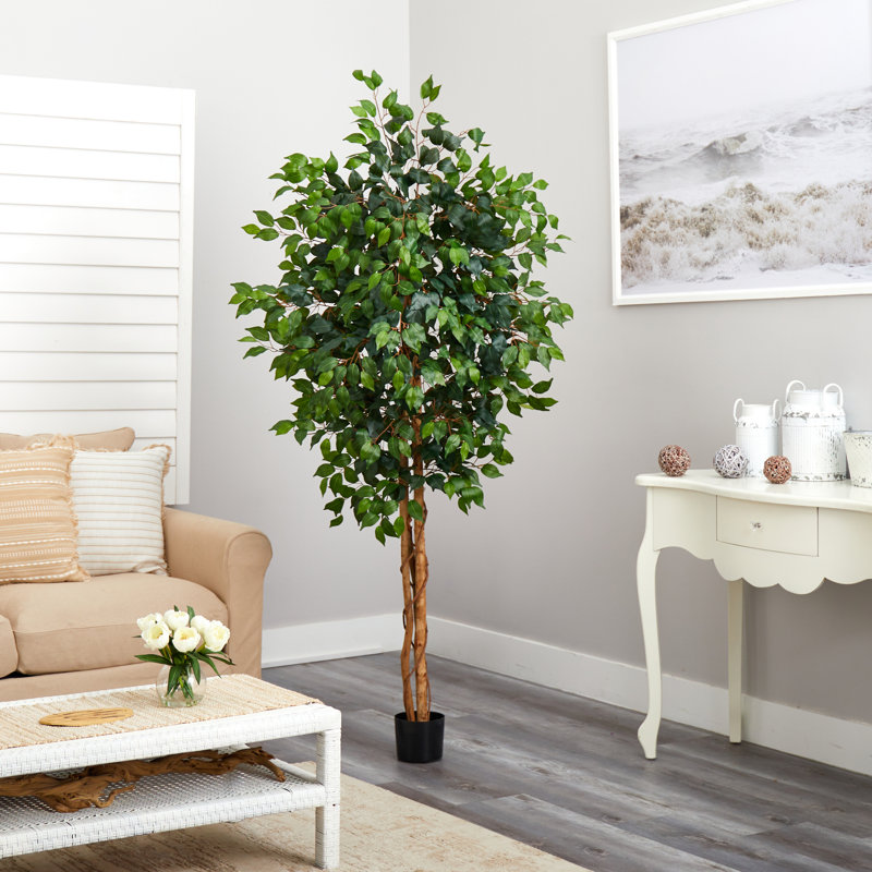 Faux Ficus Tree in Planter, 72" H x 35" W x 35" D
