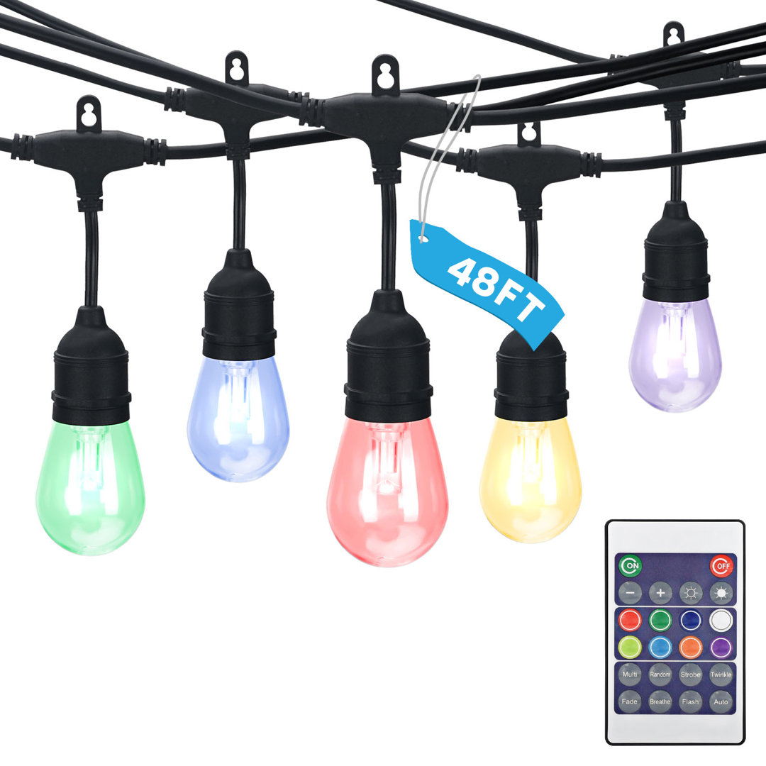 Serren Outdoor 24 - Bulb 576'' LED String Light Arlmont & Co.