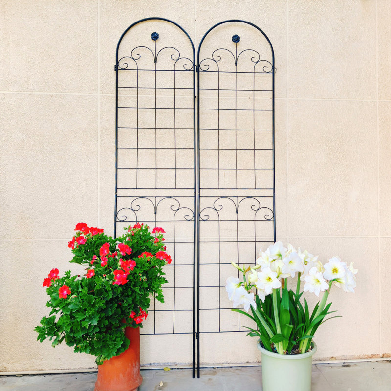 Treillis de jardin en métal antirouille pour plantes grimpantes