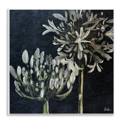 «Blooming White Herbs» par Patricia Pinto