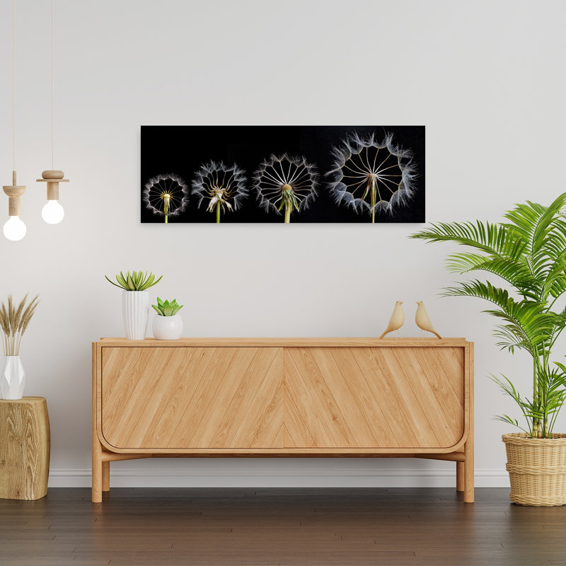 Pissenlit, graines, étapes, délicat, élégant, pissenlit, fleur, art mural, H 12 po x l 36 po