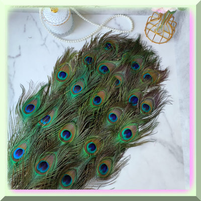 Bulk Pack of 24 Natural Peacock Feathers