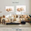 Brampt Golden Retriever de Brampt-107852911