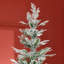 Arbre de Noël artificiel enneigé 7,5 pi