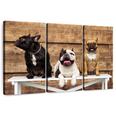 Brampt Bulldog Trio