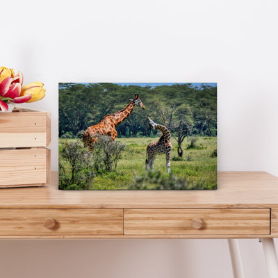 Contemporary Art Contemporary Giraffe Nature Wildlife Wall Art by Carolina Garcia-Paris - Wrapped Canvas Print