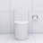 Elongated One Piece Toilet White