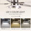 Asterios Ceiling Fan with LED Lights