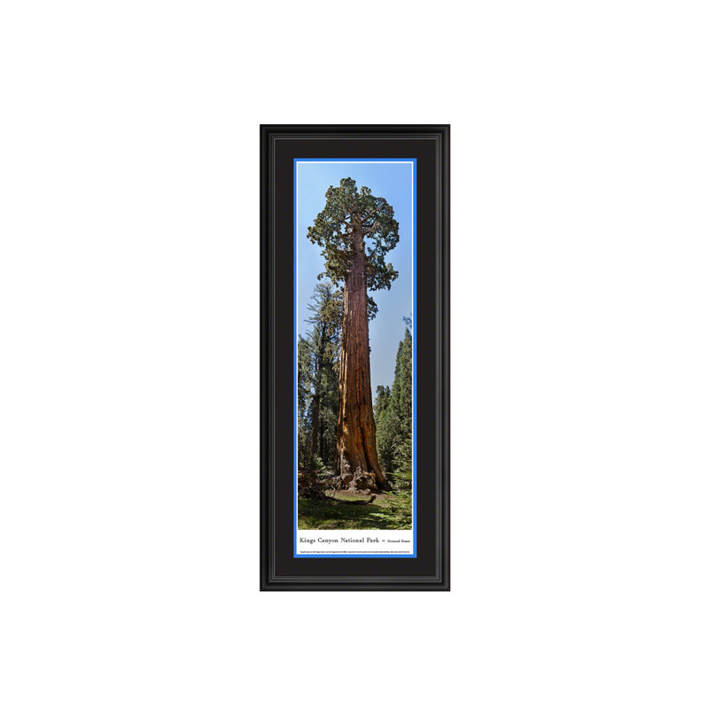 Reproduction panoramique du parc national Kings Canyon - général Grant, H 15,5 po x l 42 po, Encadré