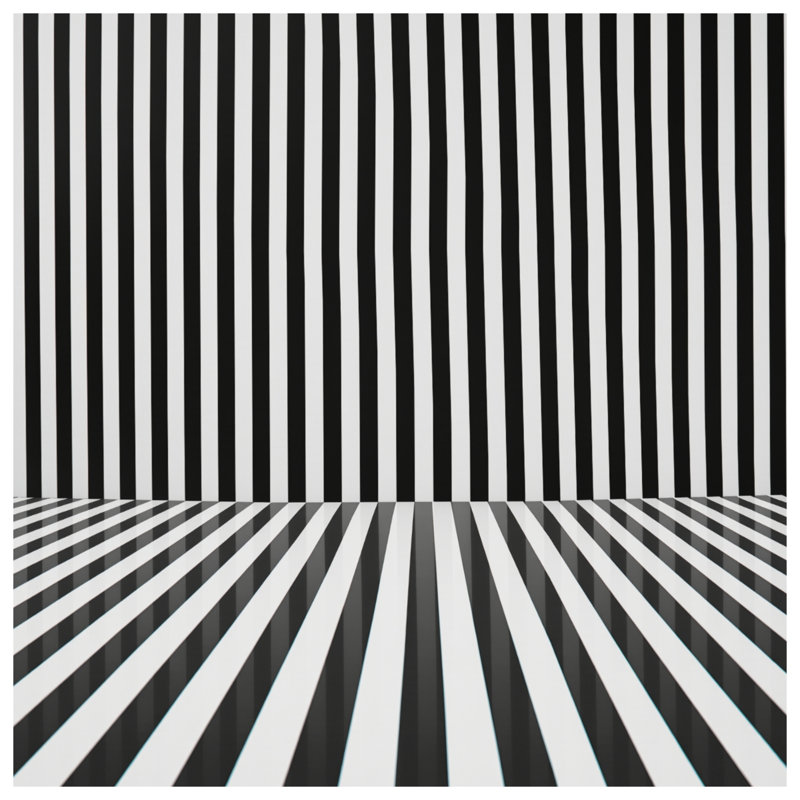 Coussins décoratifs noirs et blancs à rayures verticales, 16 x 16 inches