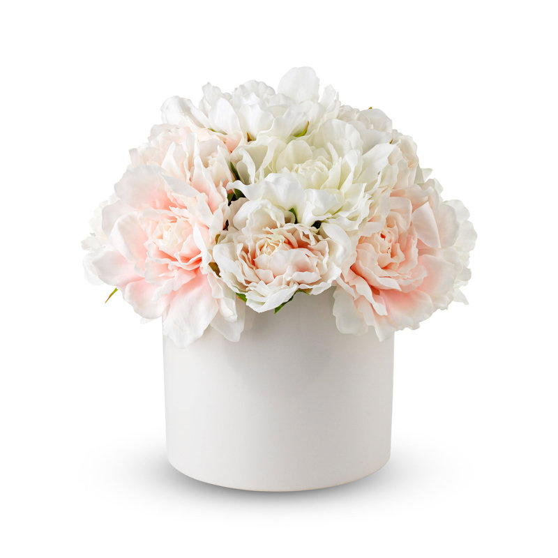 Arrangement Camilla Rose en pot