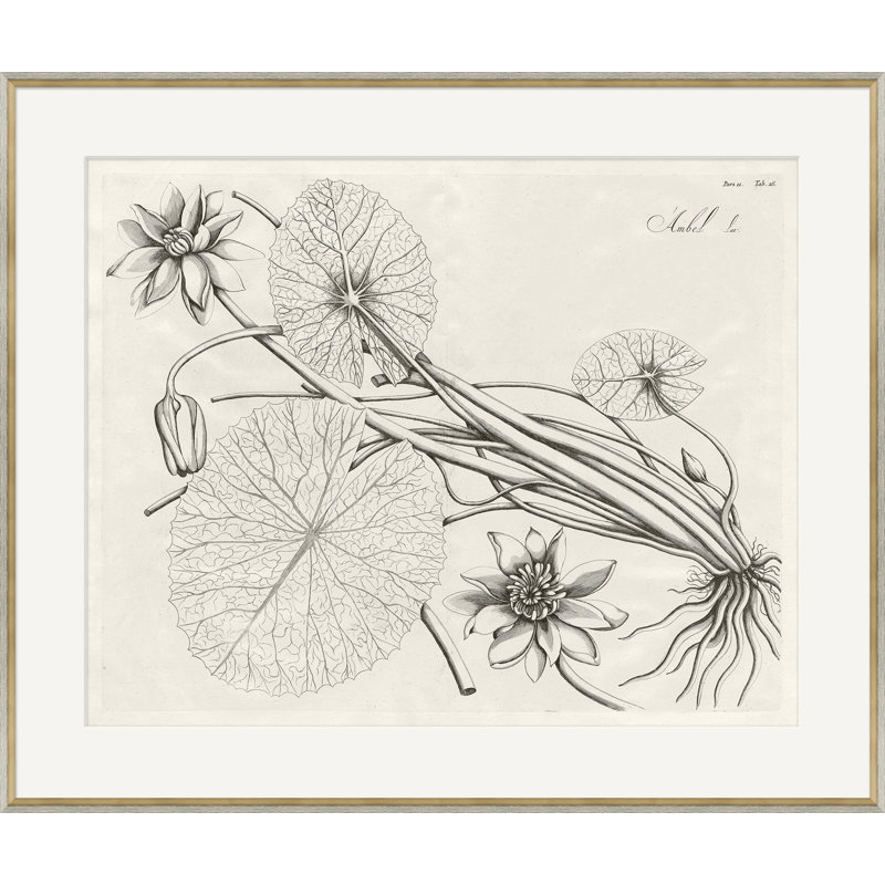 Malaberica Brittanica 3 Framed