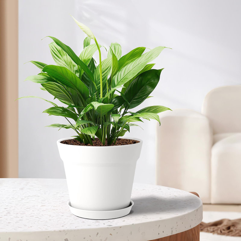 Nursery Pot, White