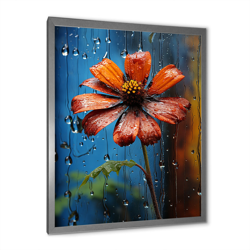 Rainy Red Marigold Blossoms - Art mural souci, Cadre simple argenté, H 40 po x l 30 po x P 1,5 po