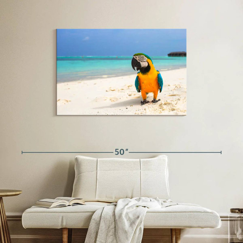 Brampt Parrot On Summer Day