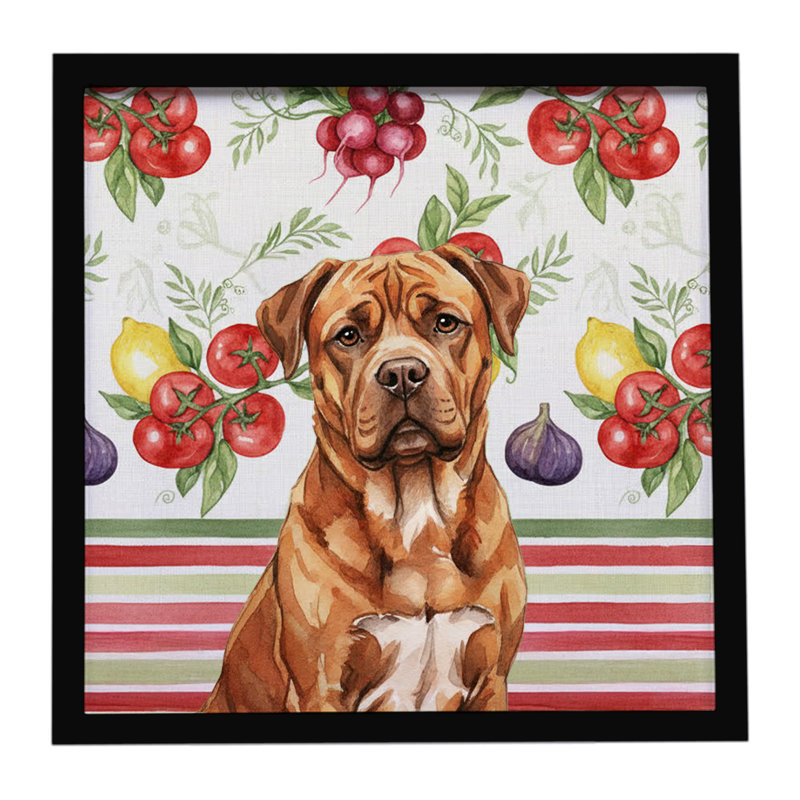 Acajou Dogue de Bordeaux légumes, impression sur métal encadrée