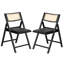 Shaylie Upholstered Seat Folding Dining Chair-1145016036
