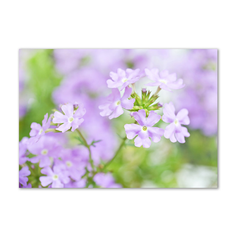 Verbena - Wrapped Canvas Print