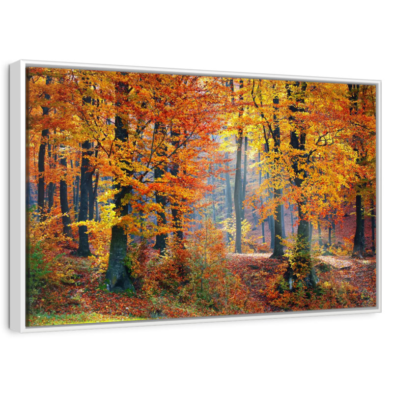 Arbres d'automne, Cadre flottant blanc, 13 po x 9 po