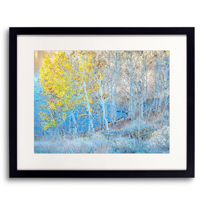 Autumn Aspen Grove Along Lakeshore Print by Bruce Heinemann