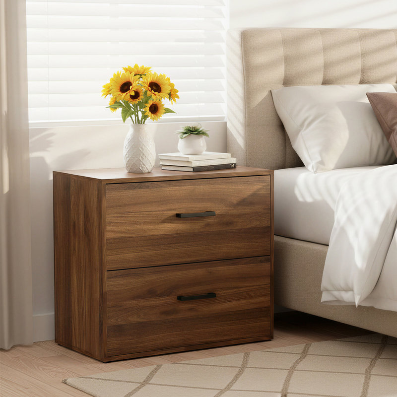 2-Drawer Lateral File Cabinet, Modern Filing Cabinet with Hanging File Storage