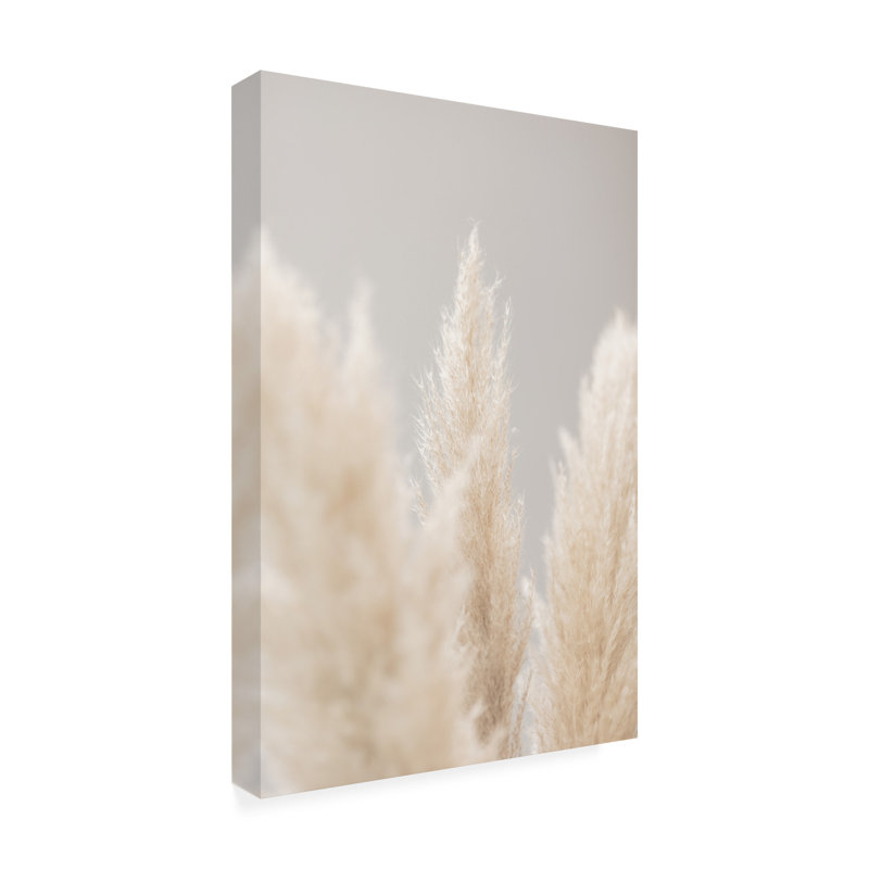 Pampas Grass Grey 04 par 1x Studio III - Photographie sur toile tendue, H 47 po x l 30 po x P 2 po