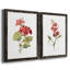 Écarlate géranium - ensemble de 2 reproductions d'art-2102043223-2102043202-2102043211