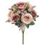 Doux rosier-1900355710