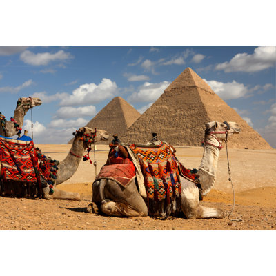 " Pyramids And Camels " by Sculpies