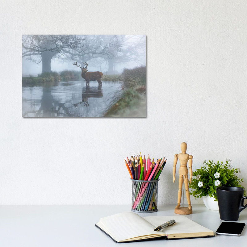 Monarch In The Stream by Max Ellis - Wrapped Canvas Print, 20.32cm H x 30.48cm W x 1.905cm D