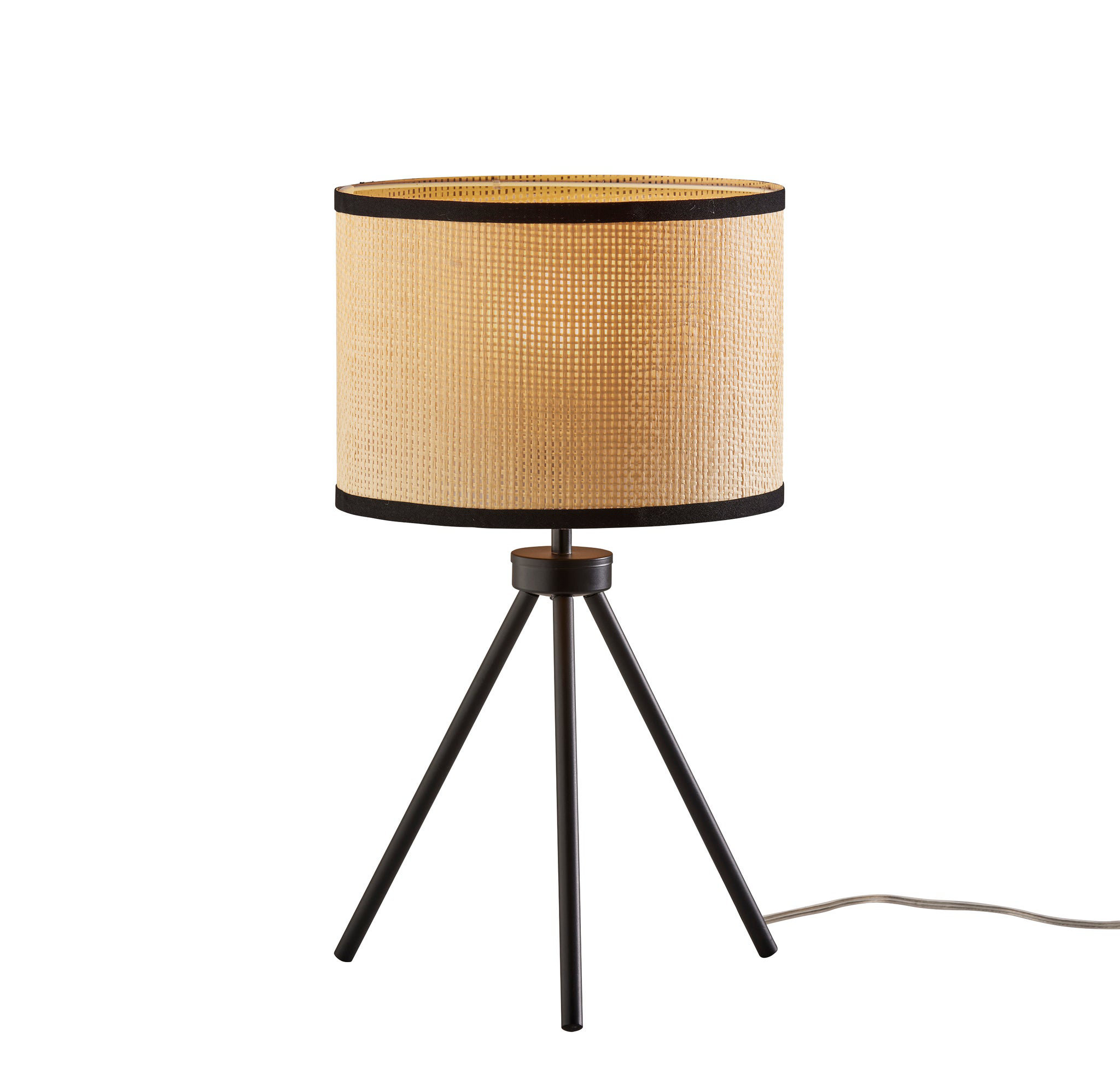 AllModern Browning Metal Tripod Lamp | Wayfair