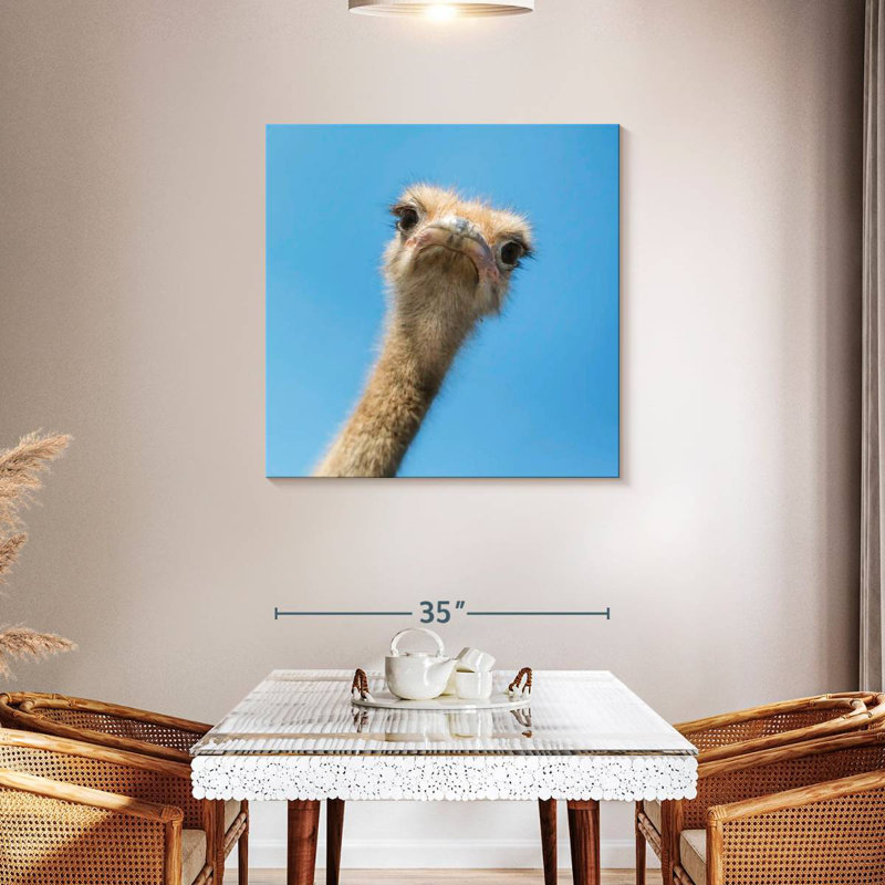 Crowle Curious Ostrich, 36" H x 36" W