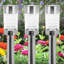 Stainless Steel Low Voltage Solar Powered Integrated LED Pathway Light Pack