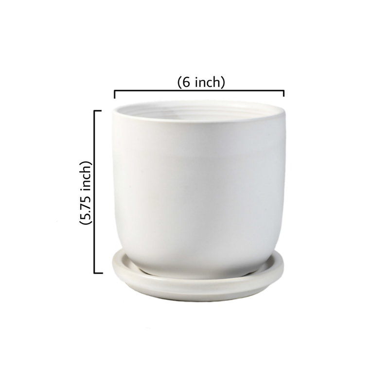 Bassima Ceramic Pot Planter, 5.75'' H X 6'' W X 6'' D