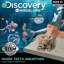 Mini-dent pour requin