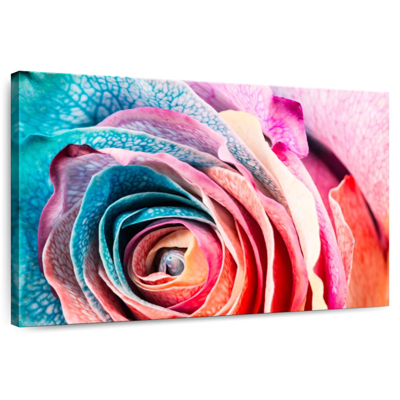 Harnek Colorful Rose