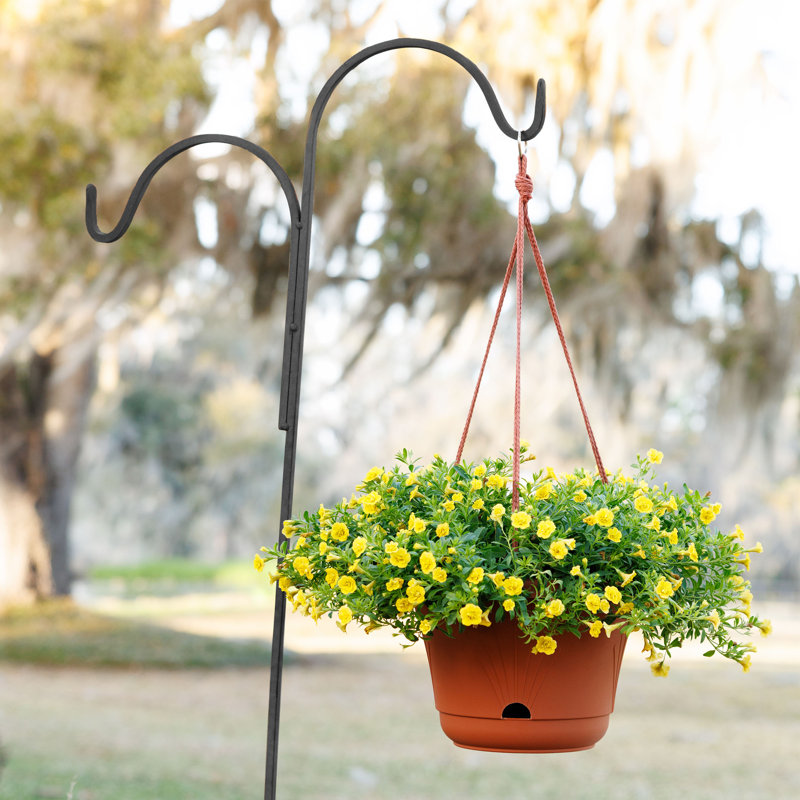 Lucca Decorative Self-Watering Plastic Indoor/Outdoor Hanging Basket Planter with Macrame Cord, Terra Cotta