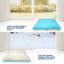 Caisse pour petits chiens et chats