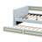 Upholstered Daybed Frame With Pull-Out Trundle-1774924732