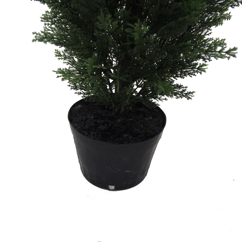 Topiaire de cèdre Yarbro en pot, H 72 po x l 13 po x P 13 po