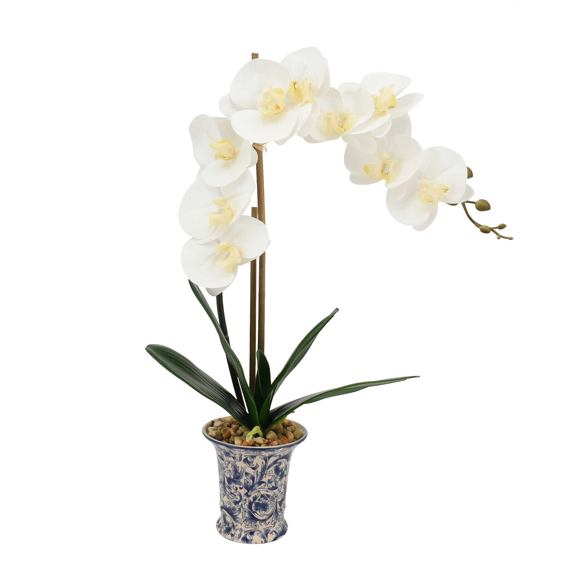 Primrue Orchid Floral Arrangement in Pot | Wayfair