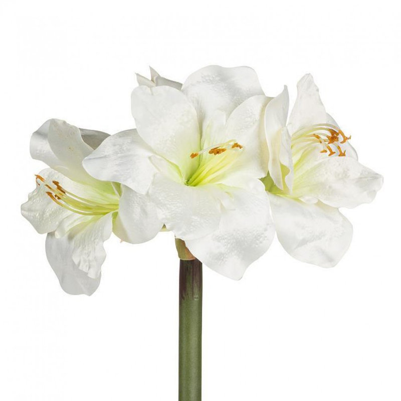 Amaryllis avec 4 fleurs artificielles, Blanc